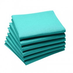 Serviette coton Turquoise CAMBRAI à l'unité