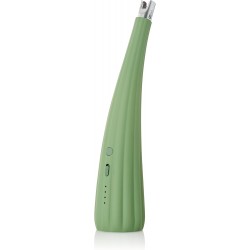 Briquet de table électrique Vert ADHOC