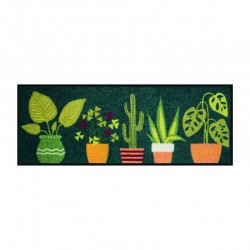 Tapis d'entrée CYRANO Cactus 120cm